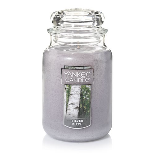 Silver Birch Yankee Candle