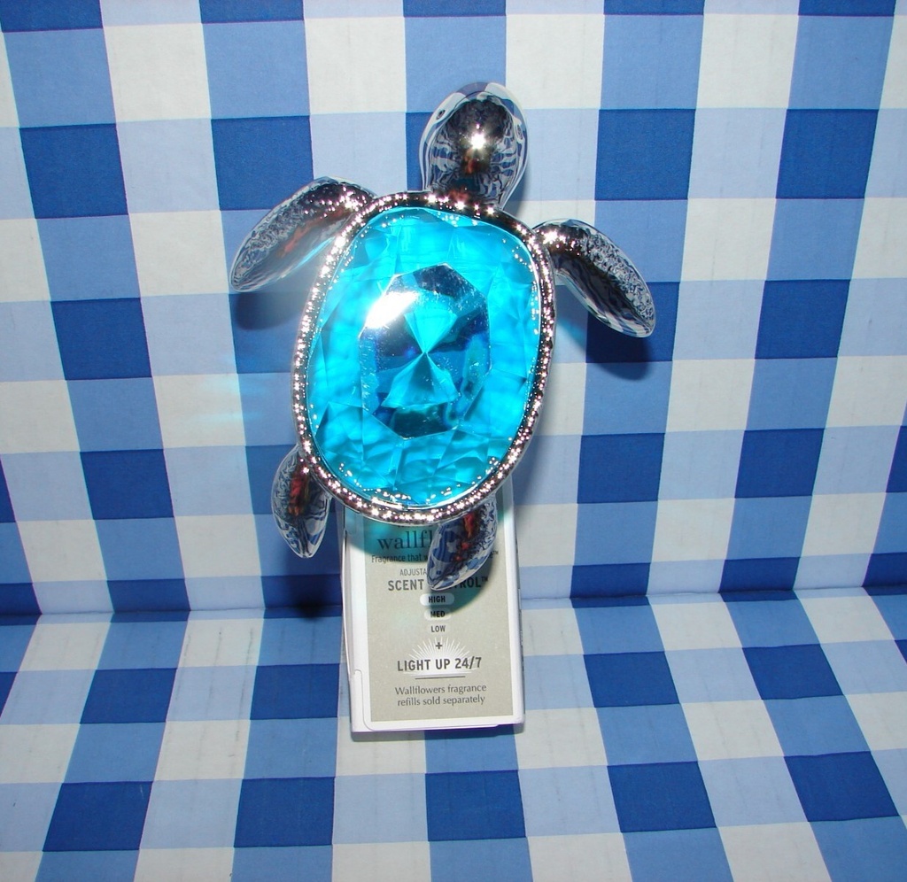 BBW AMBIENTADOR''TORTUGA''