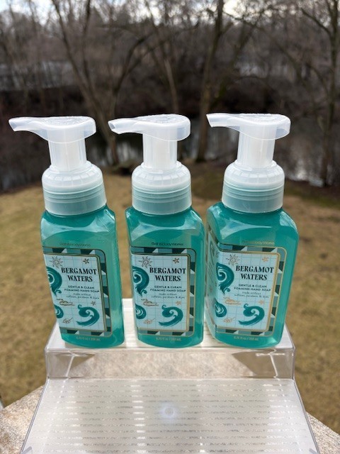 BBW PARA MANOS BERGAMOT WATERS