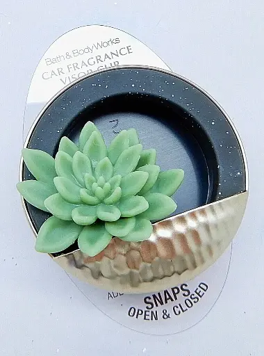 [292de363] BBW CAR CLIP DE CARRO CACTUS-PLANT