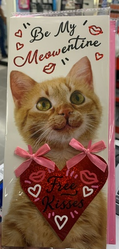 VOILA TARJETA DE GATITO Y UN CORAZON 