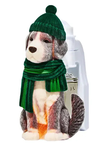 BBW WALLFLOWERS PERRITO 